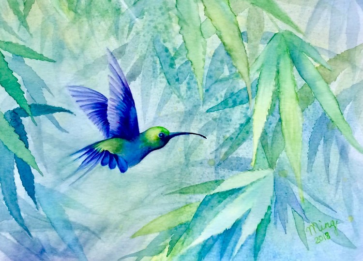 Hummingbird