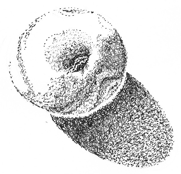 Apple Stippled  Drawing