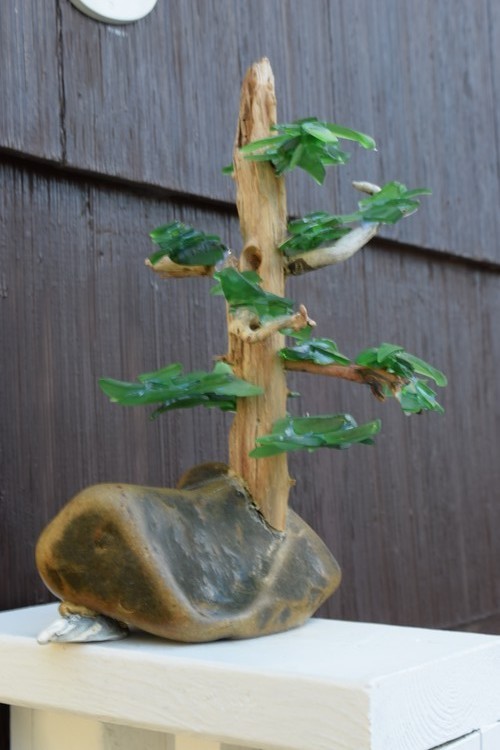 beach glass drift wood tree 2