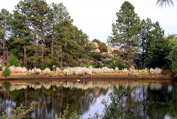 Pine Lake