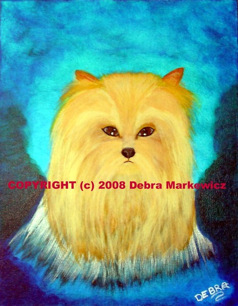Yorkie