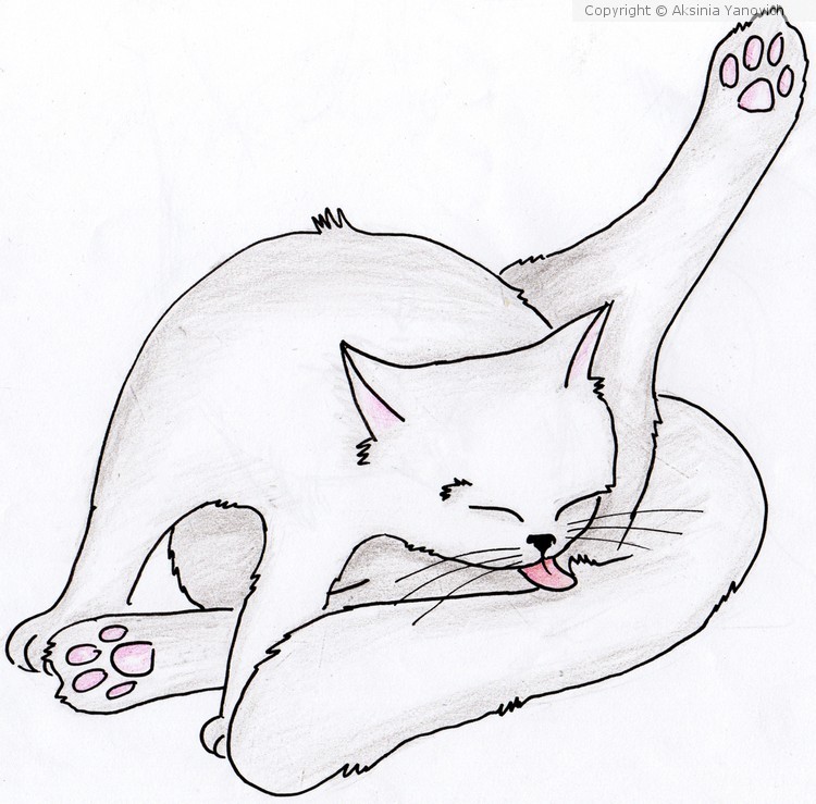 Kitty