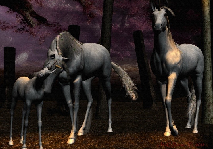 Unicorn Family