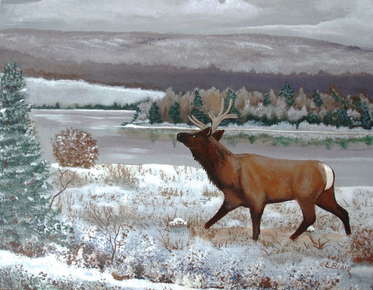 WinterSceenery
