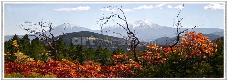 Last days of fall