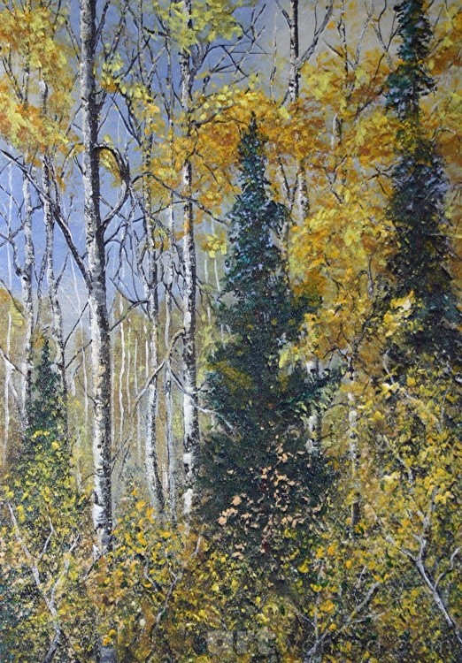 Colorado Fall