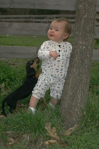 Help Me Hold Up This Tree