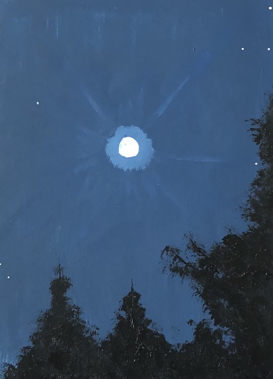 Midnight Walk 3