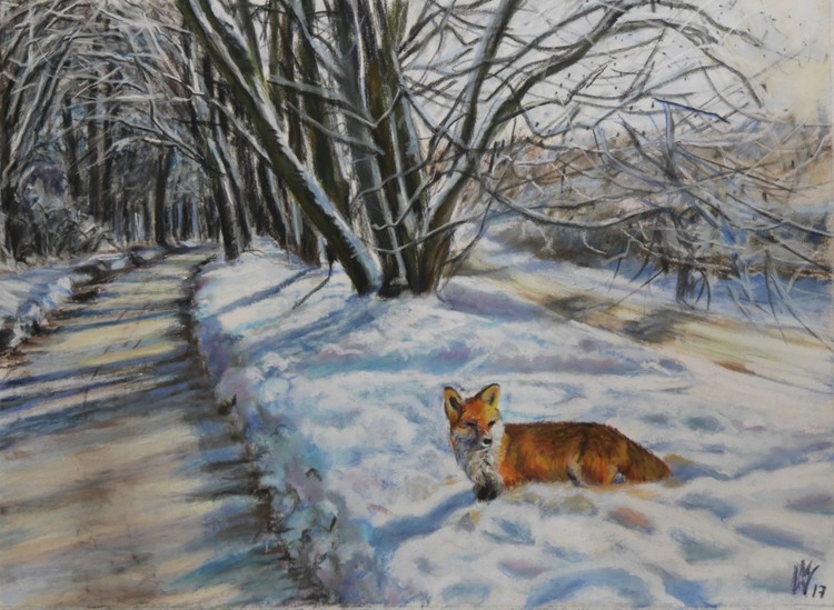 fox in snow landscape  (Fuchs im Schnee)