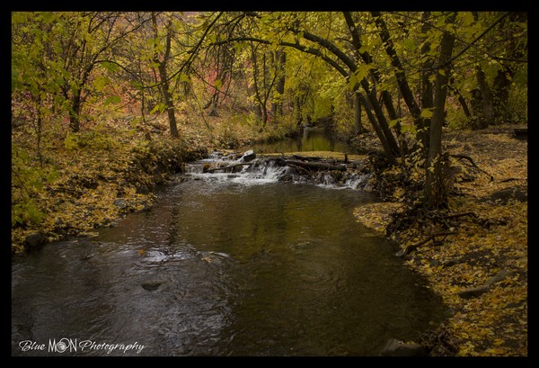 Autumn Falls
