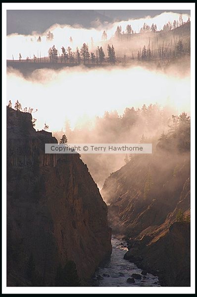Morning Mist
