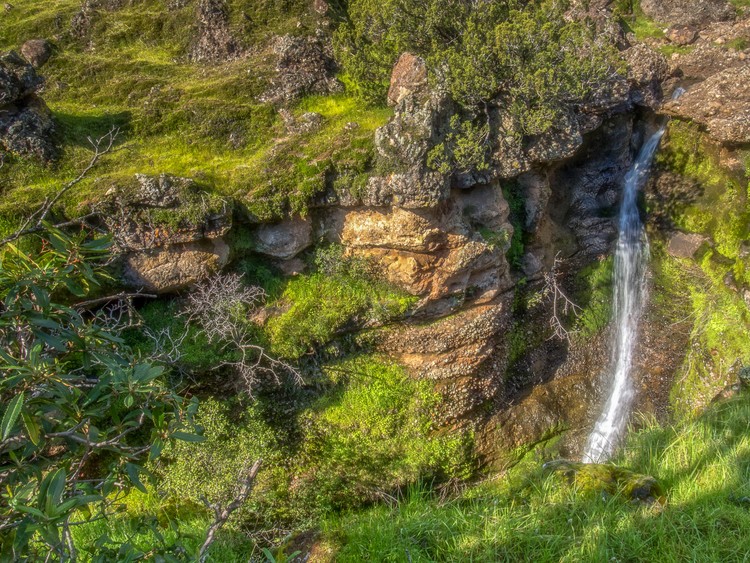 Turtle Creek Falls