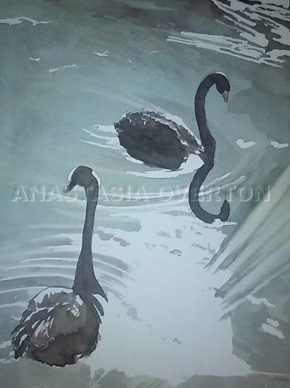 Black-Swans