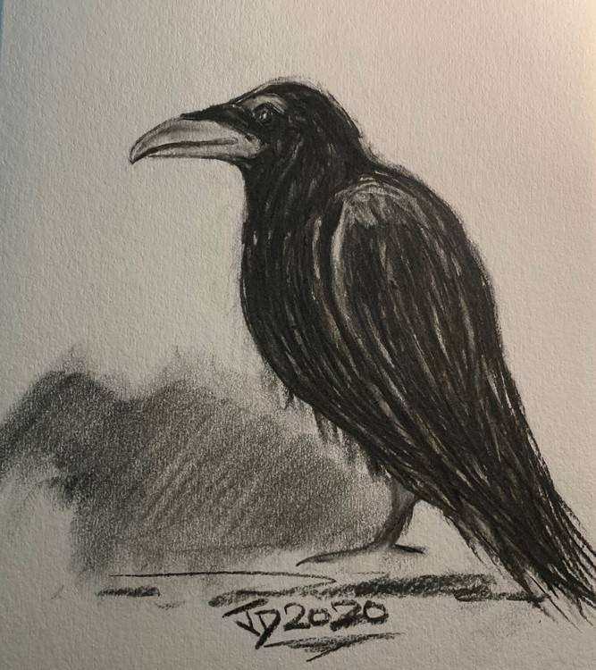 Raven Black