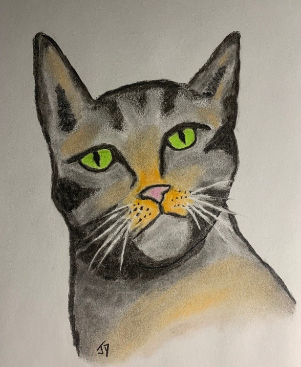 green eyed cat back 2020 (2)