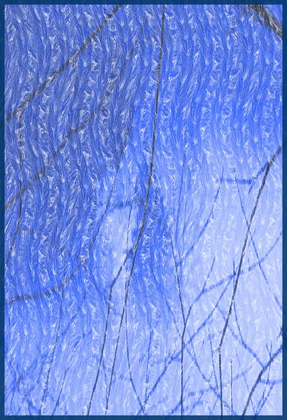 Blizzard.....
