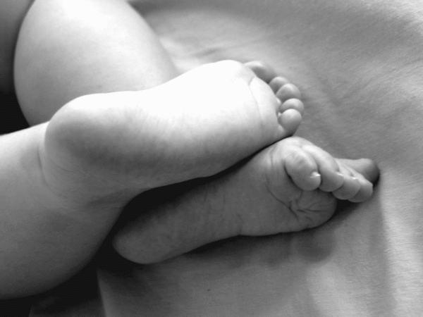 Napping Feet