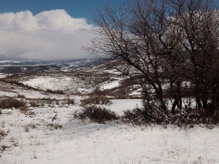 our ranch landscape