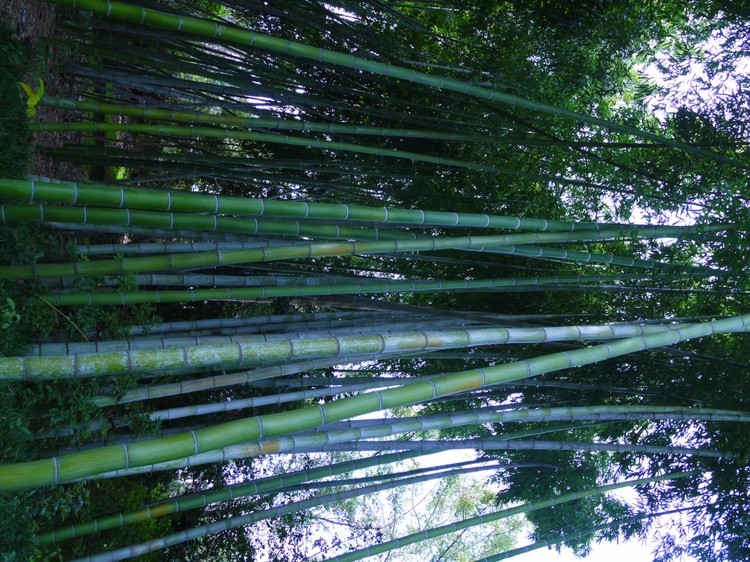P1230012
