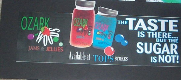 Ozark Woods 