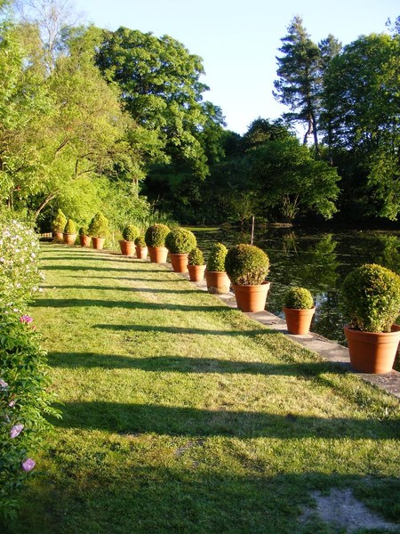 long shadows
