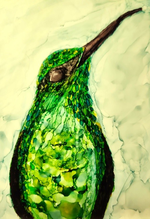 Hummingbird