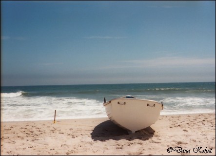The Beach