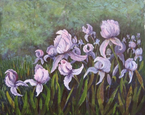 Spring Purple Irises