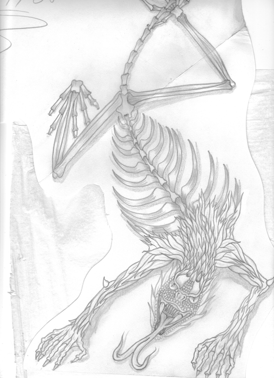 skull comin out 008 (2)