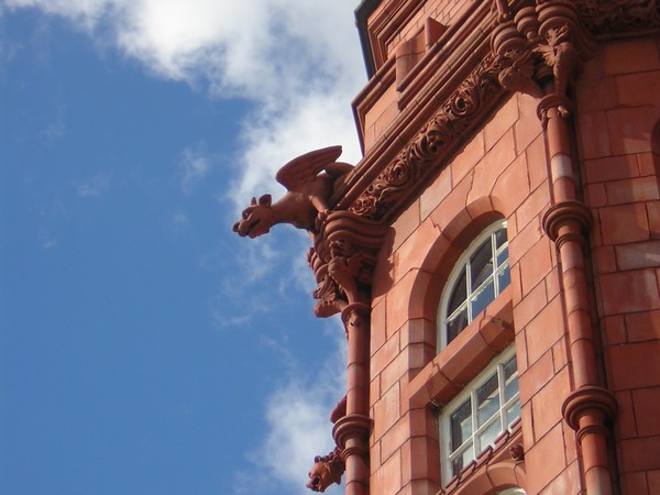 Dragon on the Rooftop 
