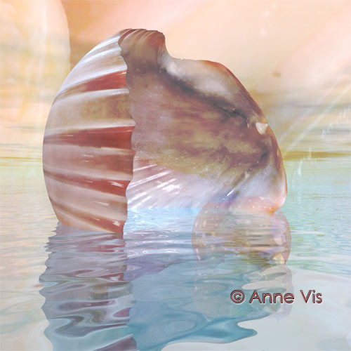 Treasures of the Ocean (24)