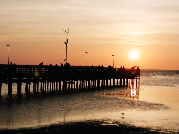Holiday Pier at Anclove Nature Area