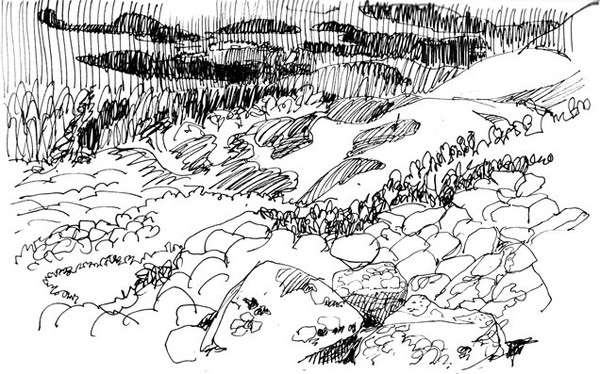 the slope