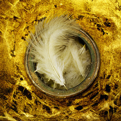 feather nest