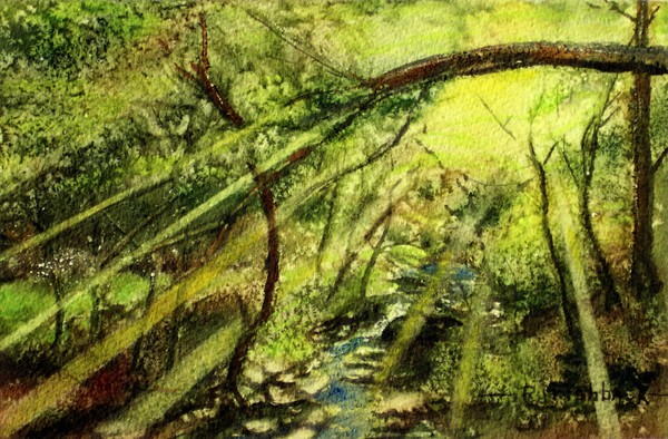 Sunny brook