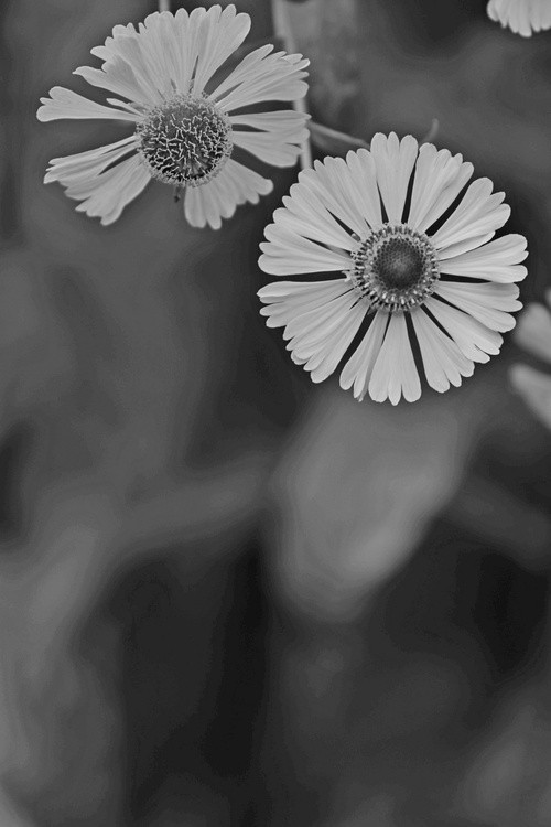 In Contrast