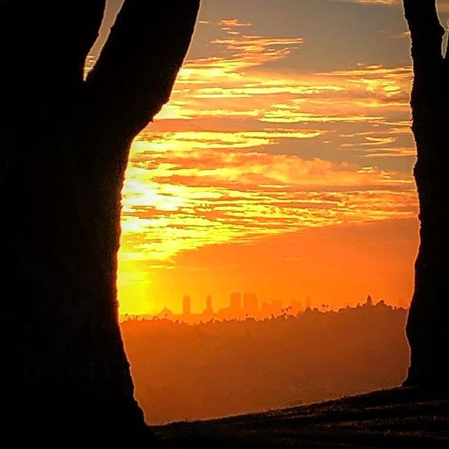 Century City Sunset