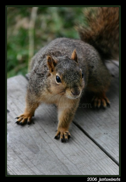 Where's the Food?