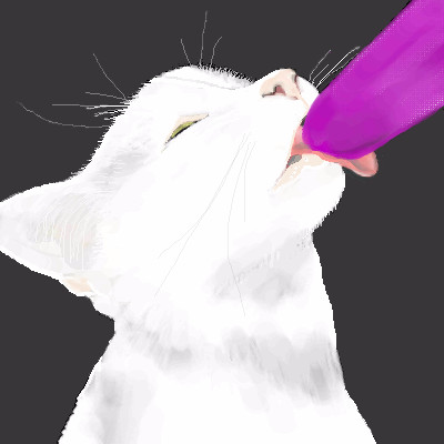 Popsicle Cat