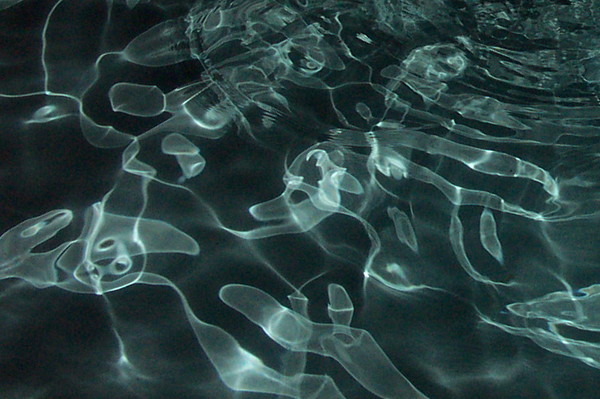 Dark Water
