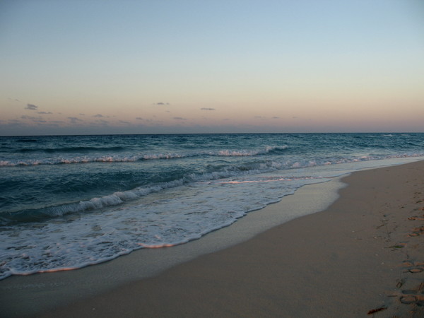 Before Sunset