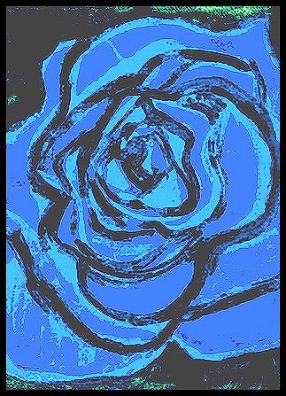blue rose