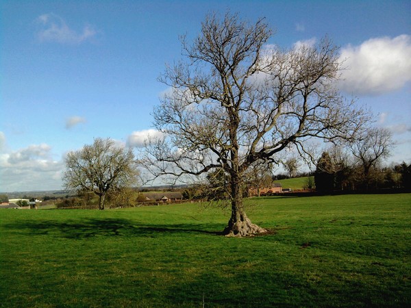 England, this green and pleasant land 8