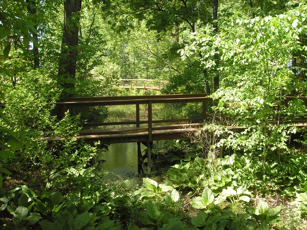 Bridges
