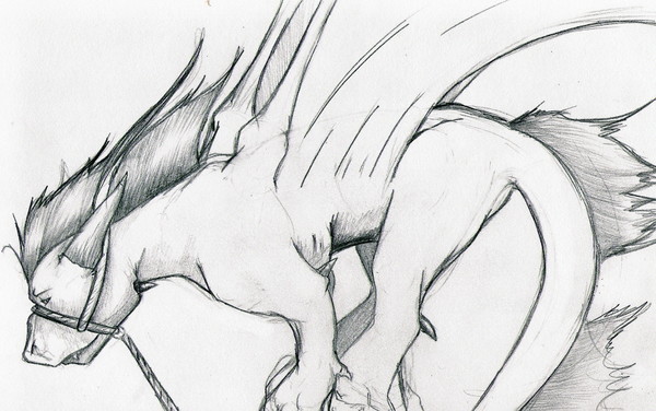 Dragon Sketch