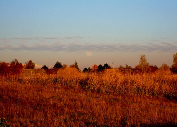 Moonrise