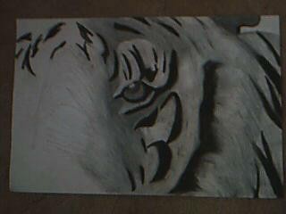 Tiger's Eye