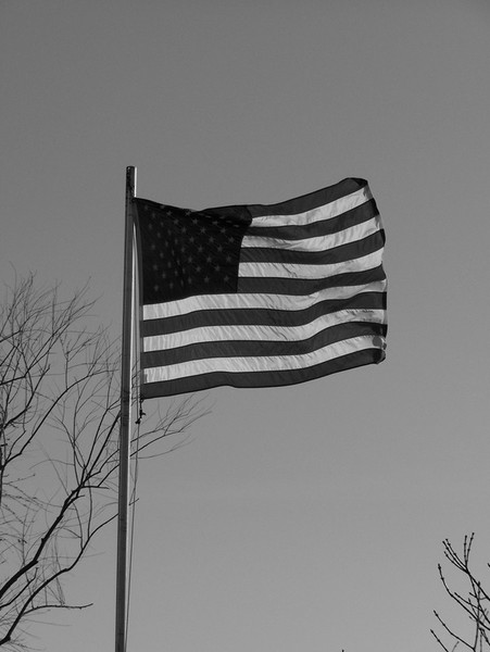 I pledge allegience