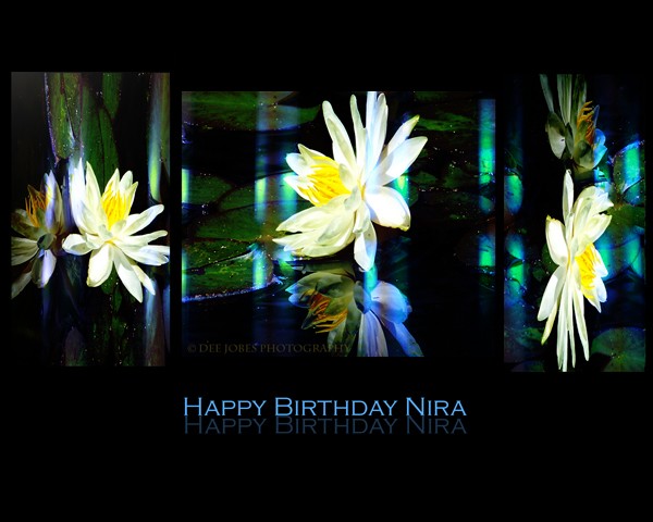 Happy Birthday Nira 