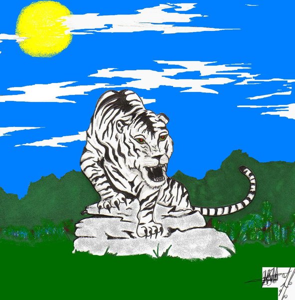 Paper Tiger